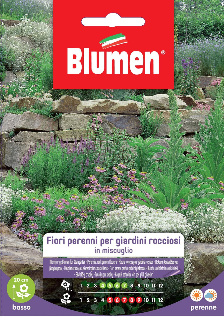 EV FLOWERS PERENNIAL GIAR.ROCC.  -