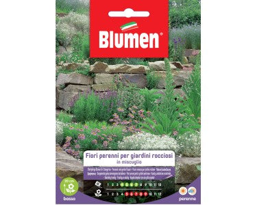 EV FLOWERS PERENNIAL GIAR.ROCC.  -