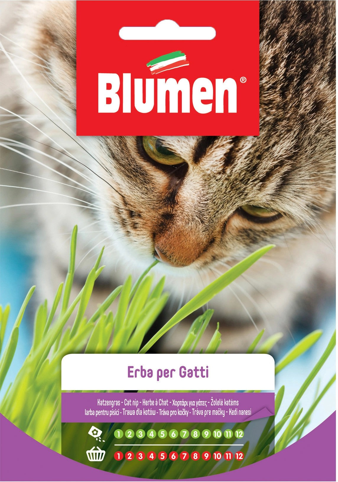 HERB FOR CATS