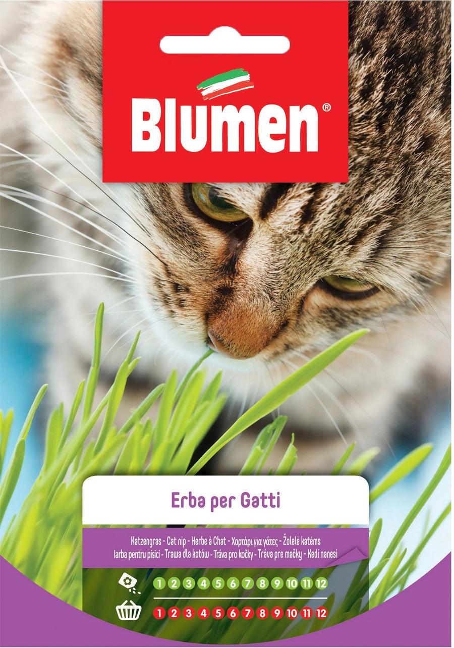 HERB FOR CATS