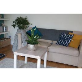 ADHESIVE PLASTIC OAK SANTKA 45X200 CM