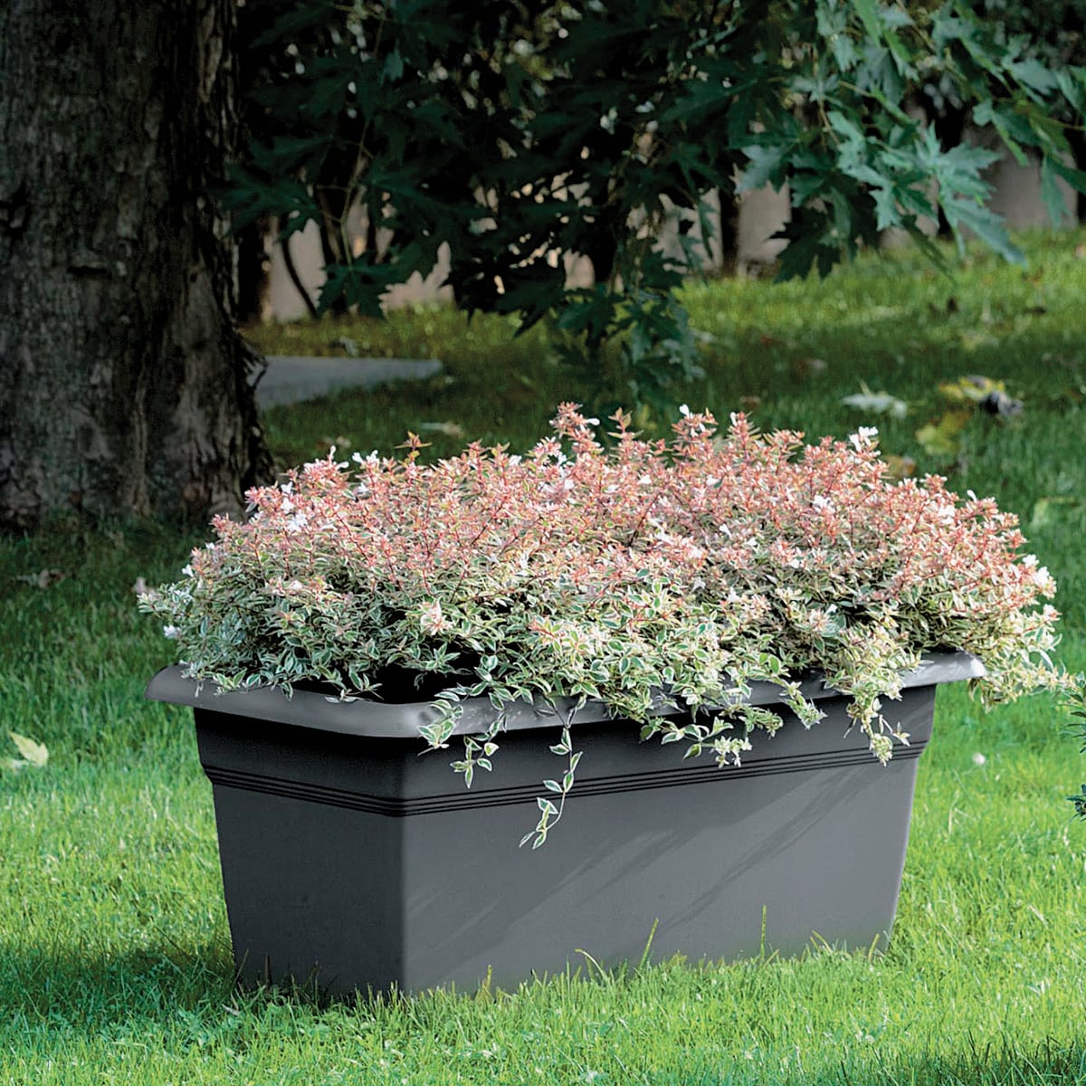 MEDITERRANEAN PLANTER CM 100 ANTHRACITE