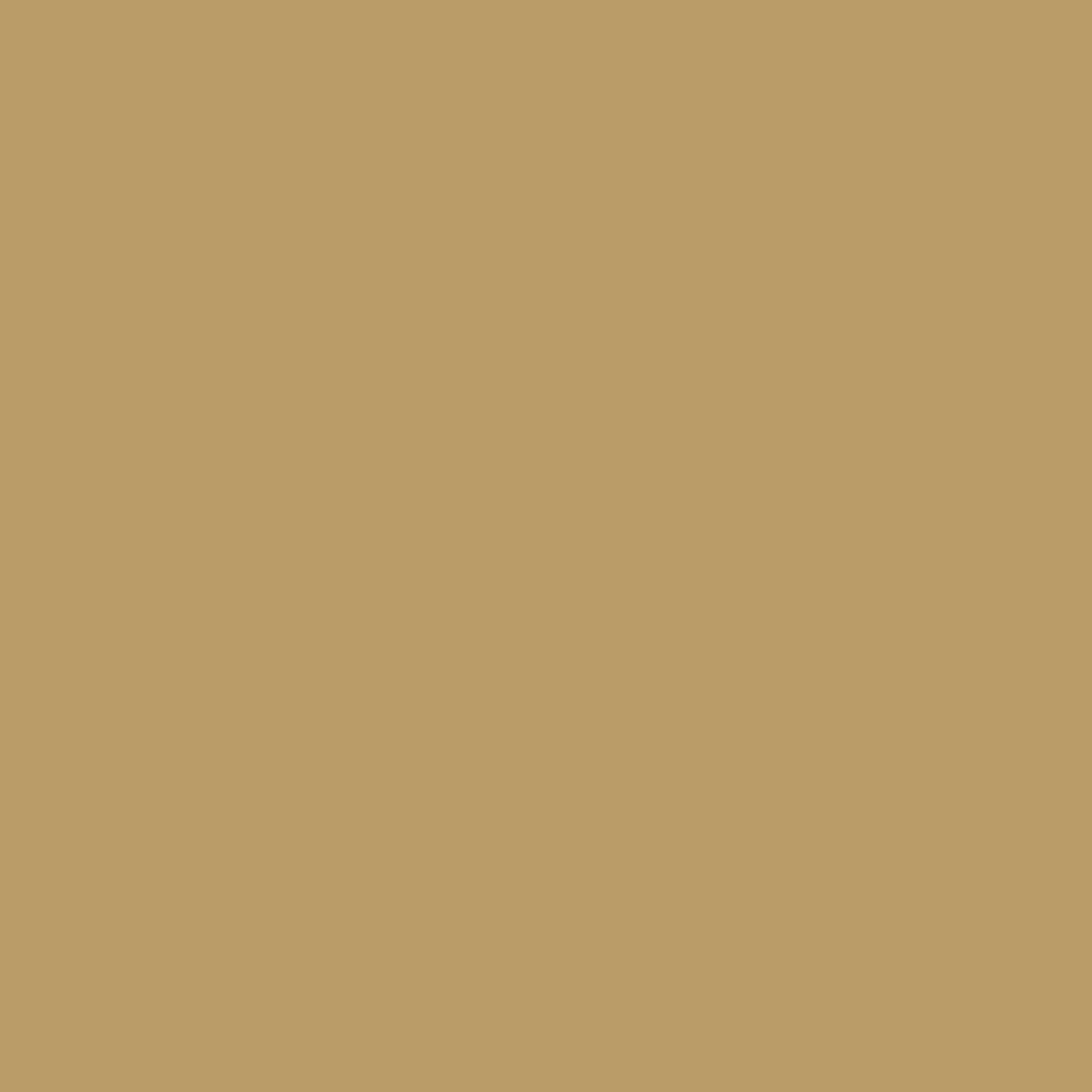 Axton wood filler paste, light walnut, 60g