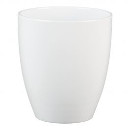 ALASKA WHITE ORCHID VASE V.13