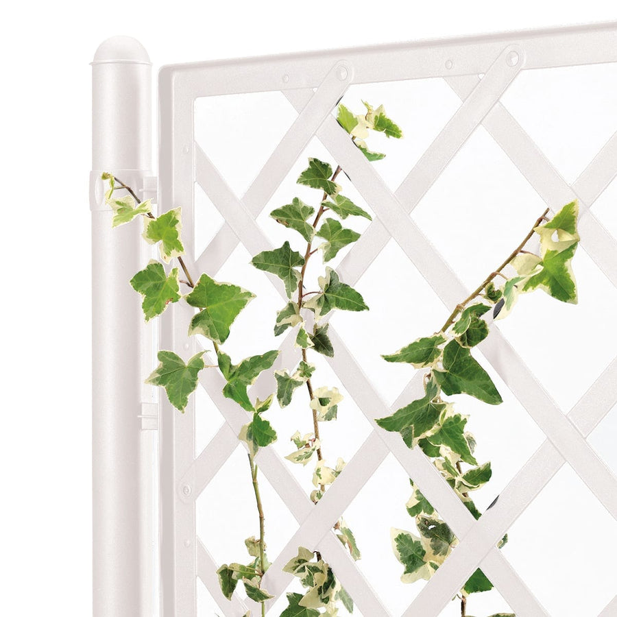 Bricocenter FIORIERA RETT. ITALIA C/SPALL. BIANCO CM 100