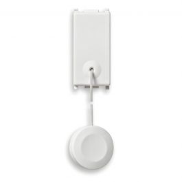 SINGLE-POLE PLANA PUSH BUTTON WITH PULL 10A WHITE