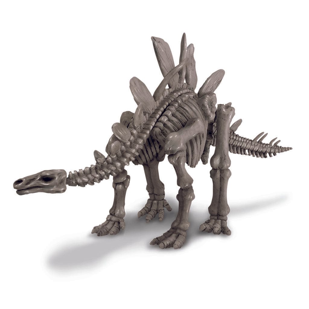 Toys Dig up a Stegosaurus fossil