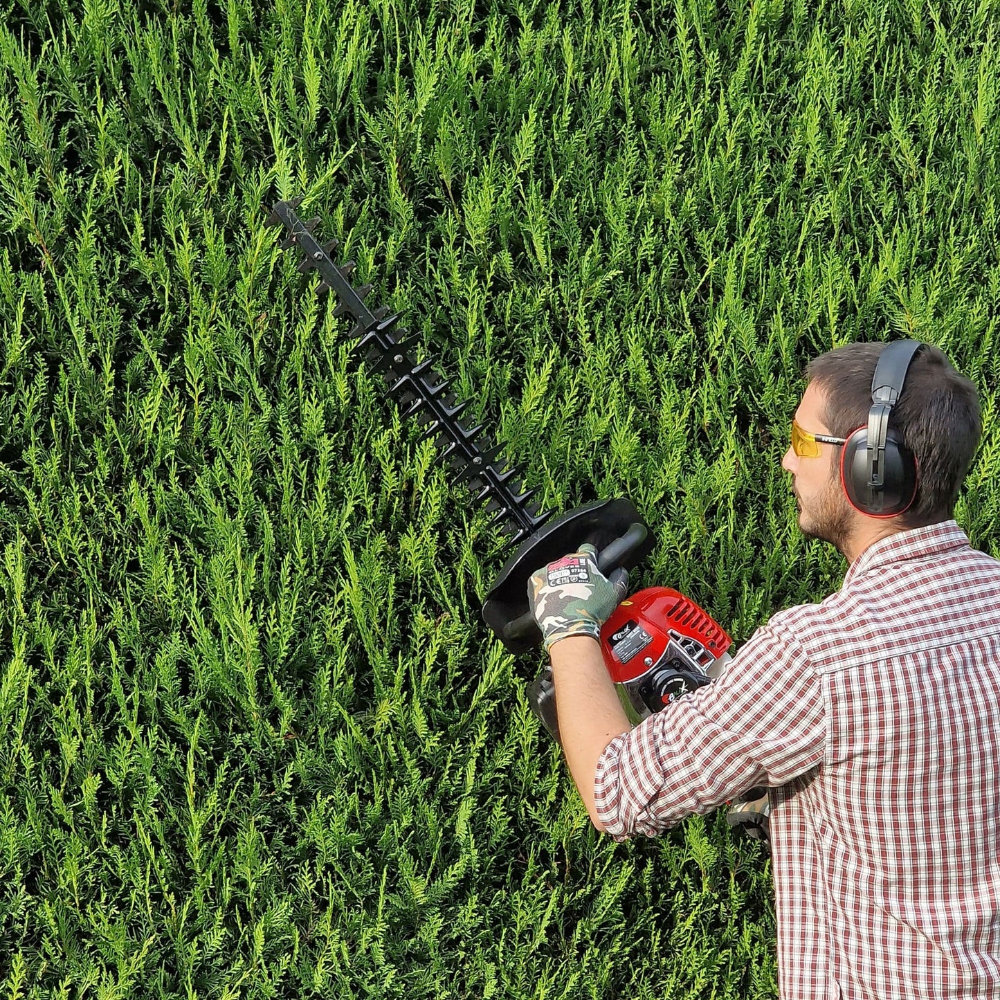 BALEX TWO-STROKE PETROL HEDGE TRIMMER CM.60 BXHT 6025