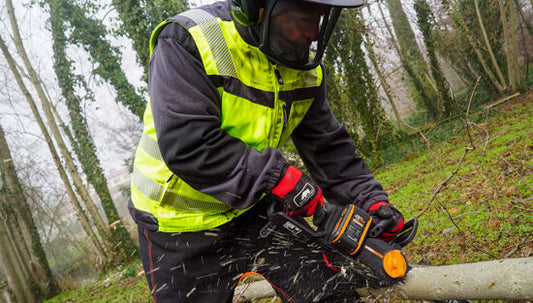 ELETTROSEGA A BATTERIA 20V WORX NITRO WG