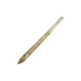 ROUND POLE WITH TIP 5 X 150 SL