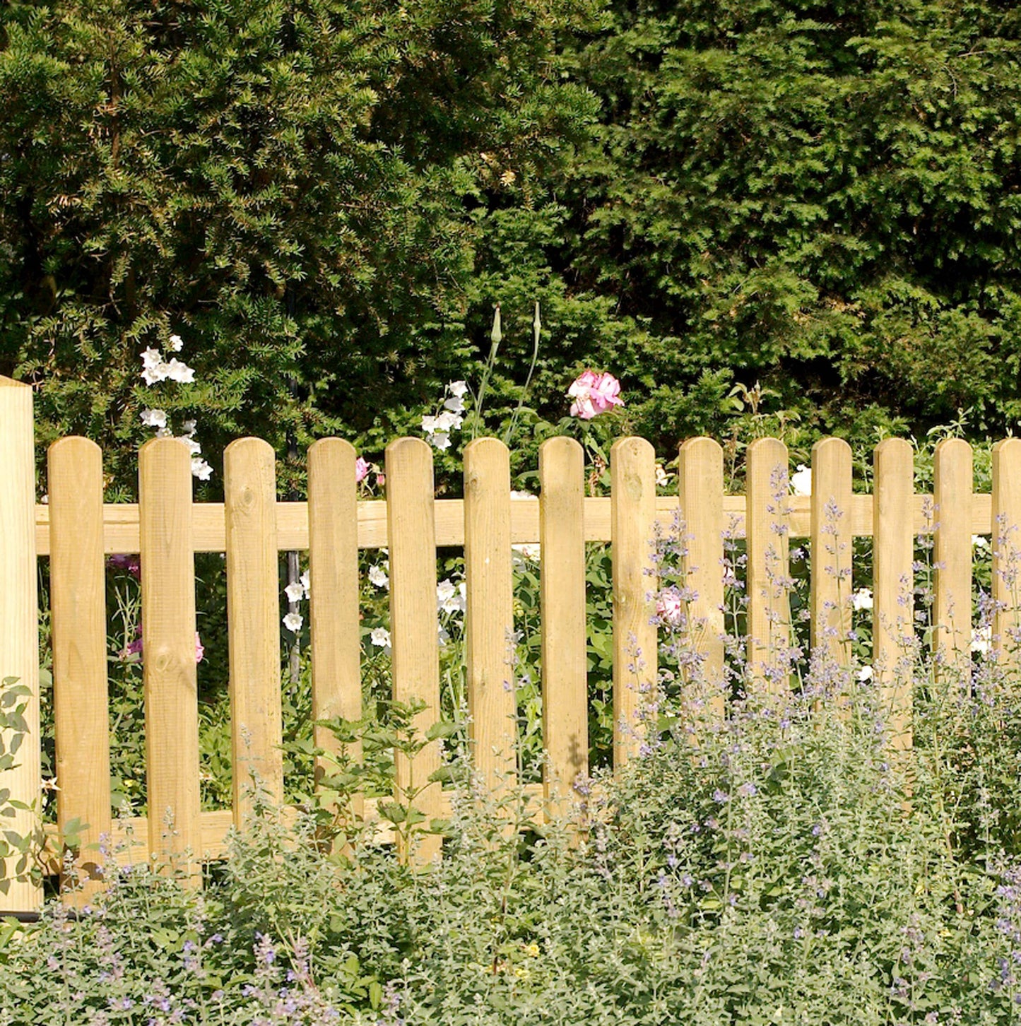 Bricocenter RECINZIONE DRITTA MINI 180X70CM IN LEGNO