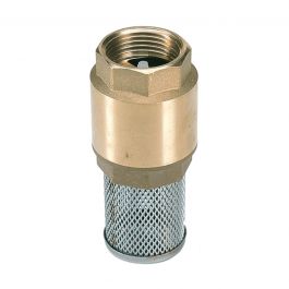 BRASS FOOT VALVE 1 C621671
