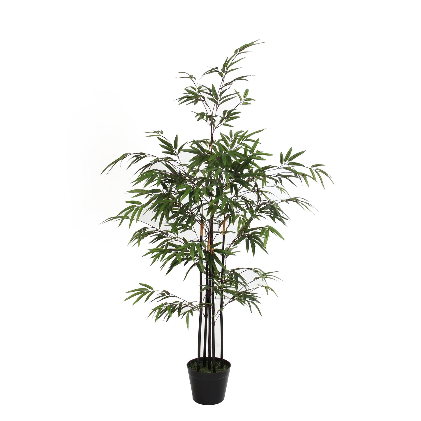 Bricocenter BAMBOO FOGLIE VERDI IN VASO PLASTICA 120 CM DIAM 75 CM