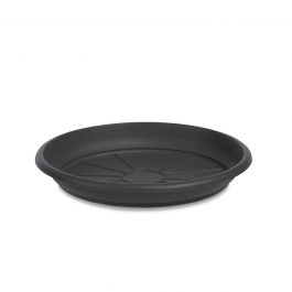 MEDITERRANEAN SAUCER CM 26 ANTHRACITE