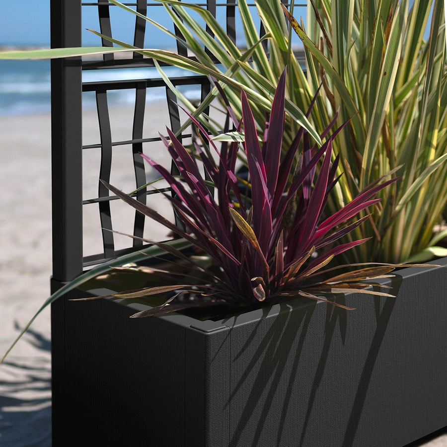 Bricocenter ETHICA PLANTER WITH ESPALIER CM 80X36 H140 ANTHRACITE