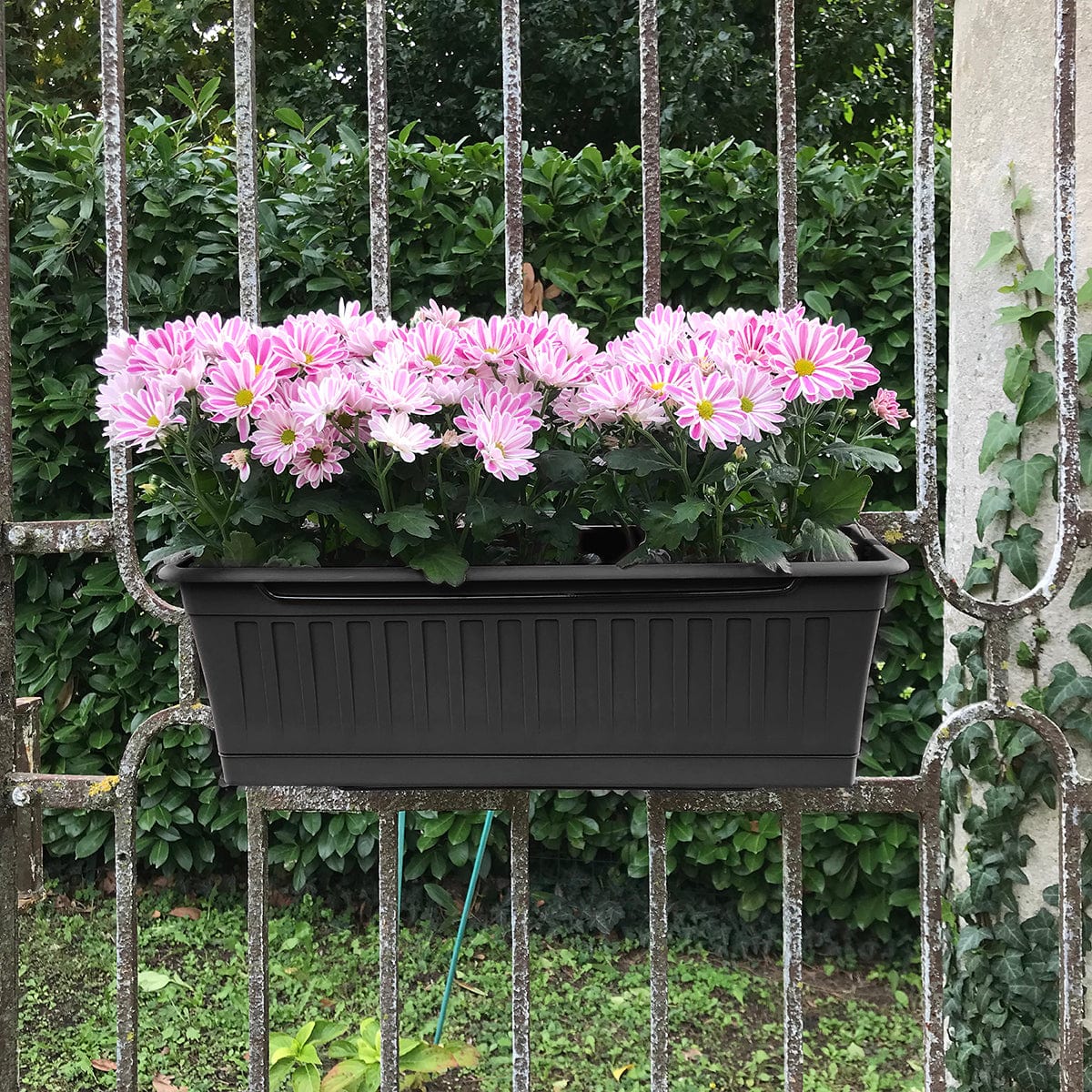 Bricocenter SET 2 BALCONETTE VENEZIA C/SOTTOBALCONETTA CM. 50 + SUPPORTO METALLO ANTRACITE
