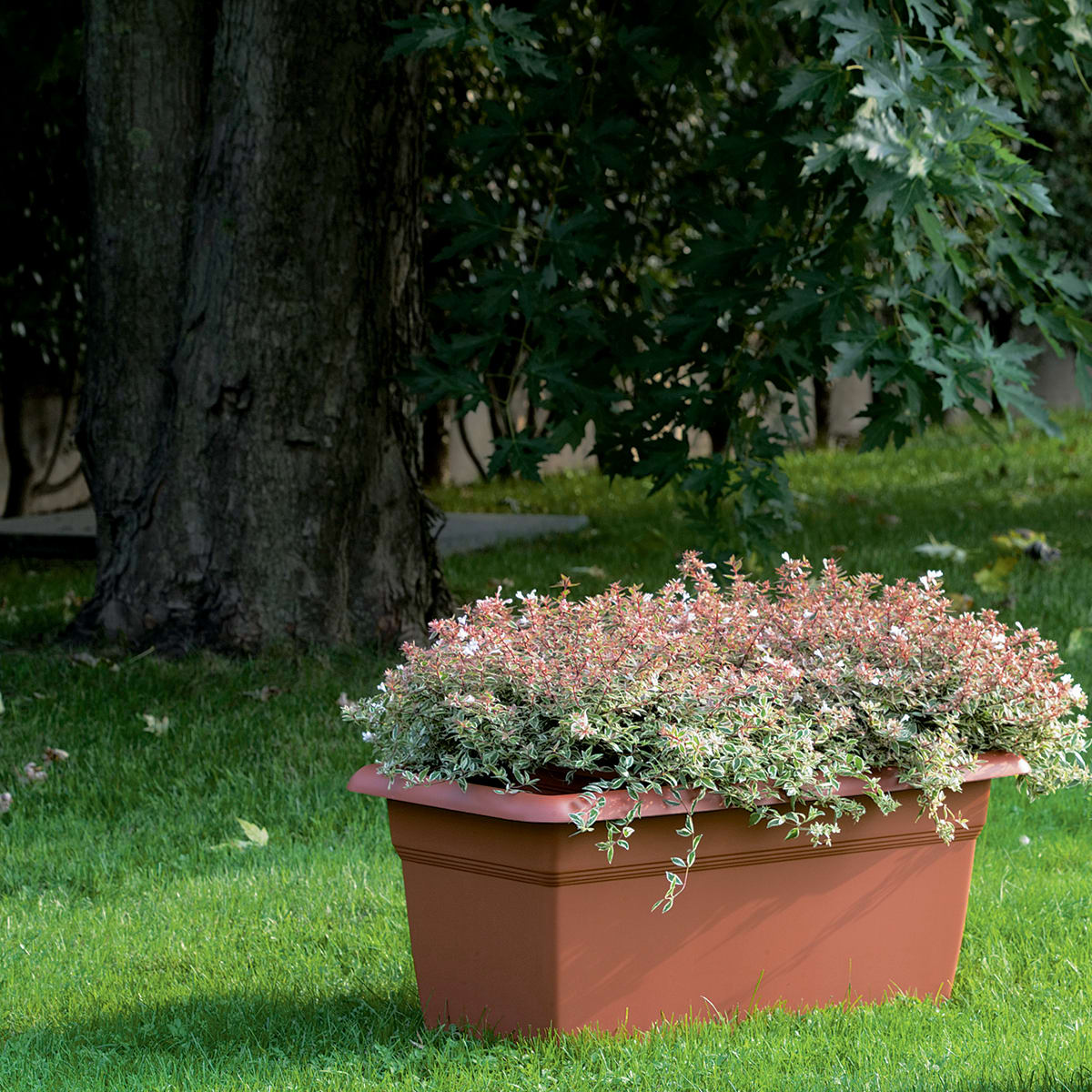 MEDITERRANEAN PLANTER CM 80 T.COTTA