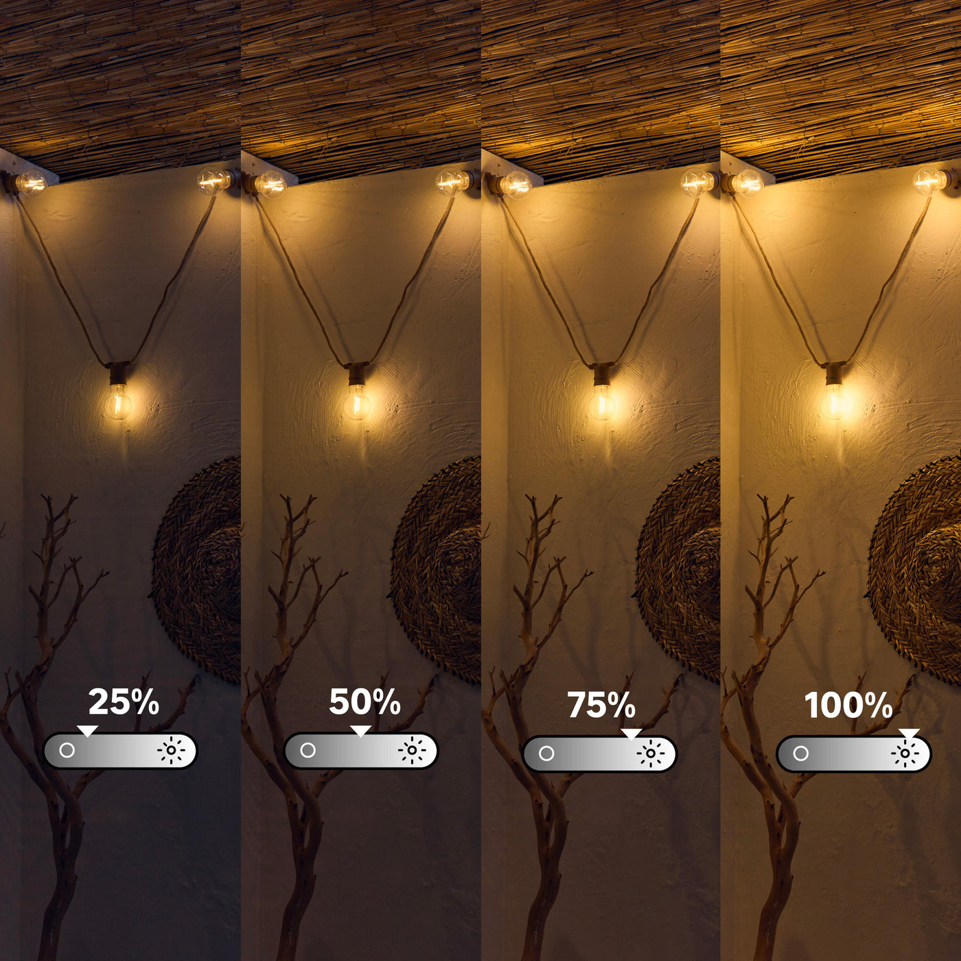 Minta string lights, 5 m natural rope, 10 x 44 lm warm light, IP54, with remote control
