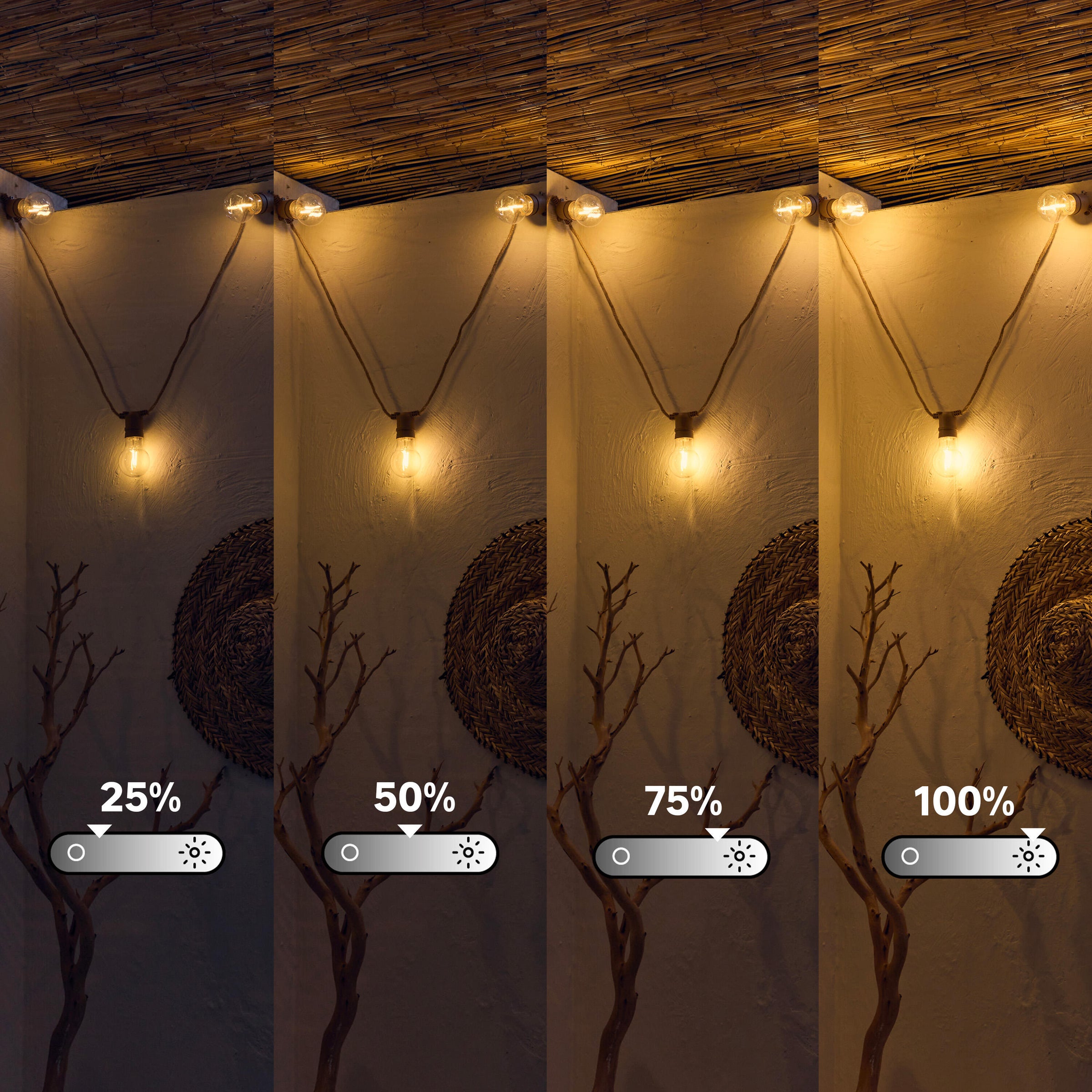 Minta string lights, 5 m natural rope, 10 x 44 lm warm light, IP54, with remote control