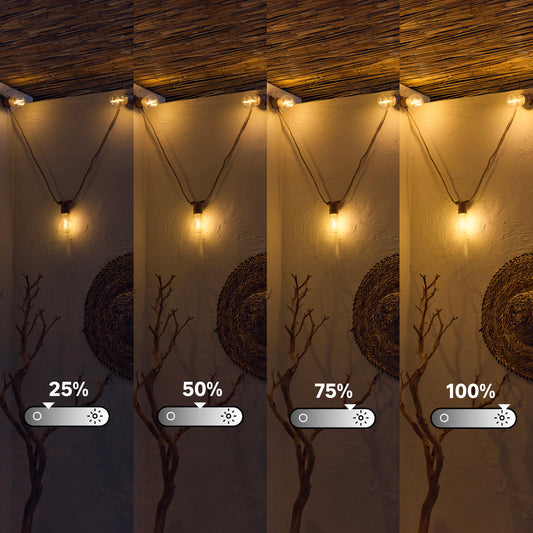 Minta string lights, 5 m natural rope, 10 x 44 lm warm light, IP54, with remote control