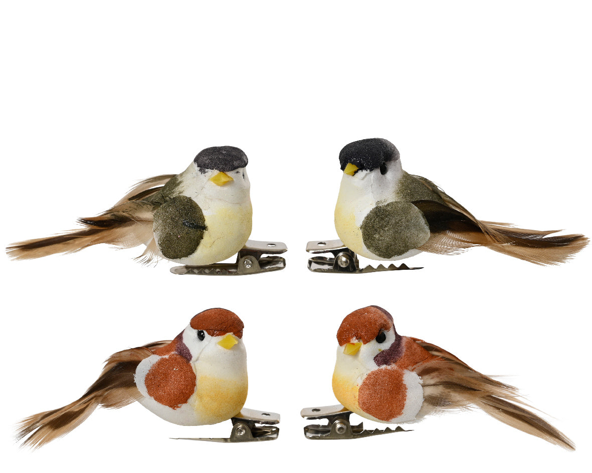 4 little birds with green and brown clips
