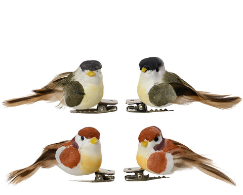 4 little birds with green and brown clips