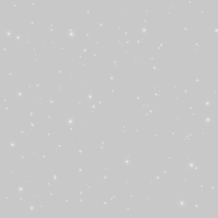 Bricocenter PAILLETT POLAR EFFECT WALL PAINT 2 LT