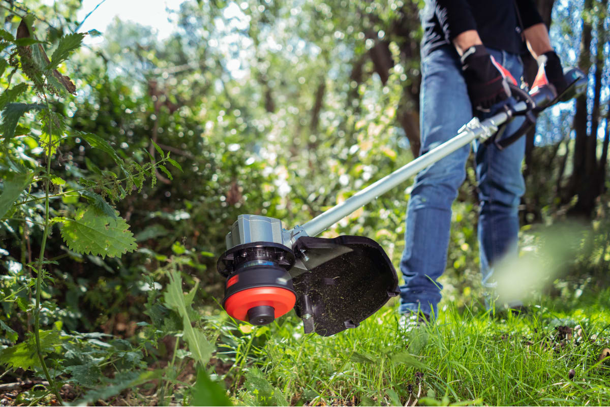 STERWINS 20V CORDLESS GRASS TRIMMER