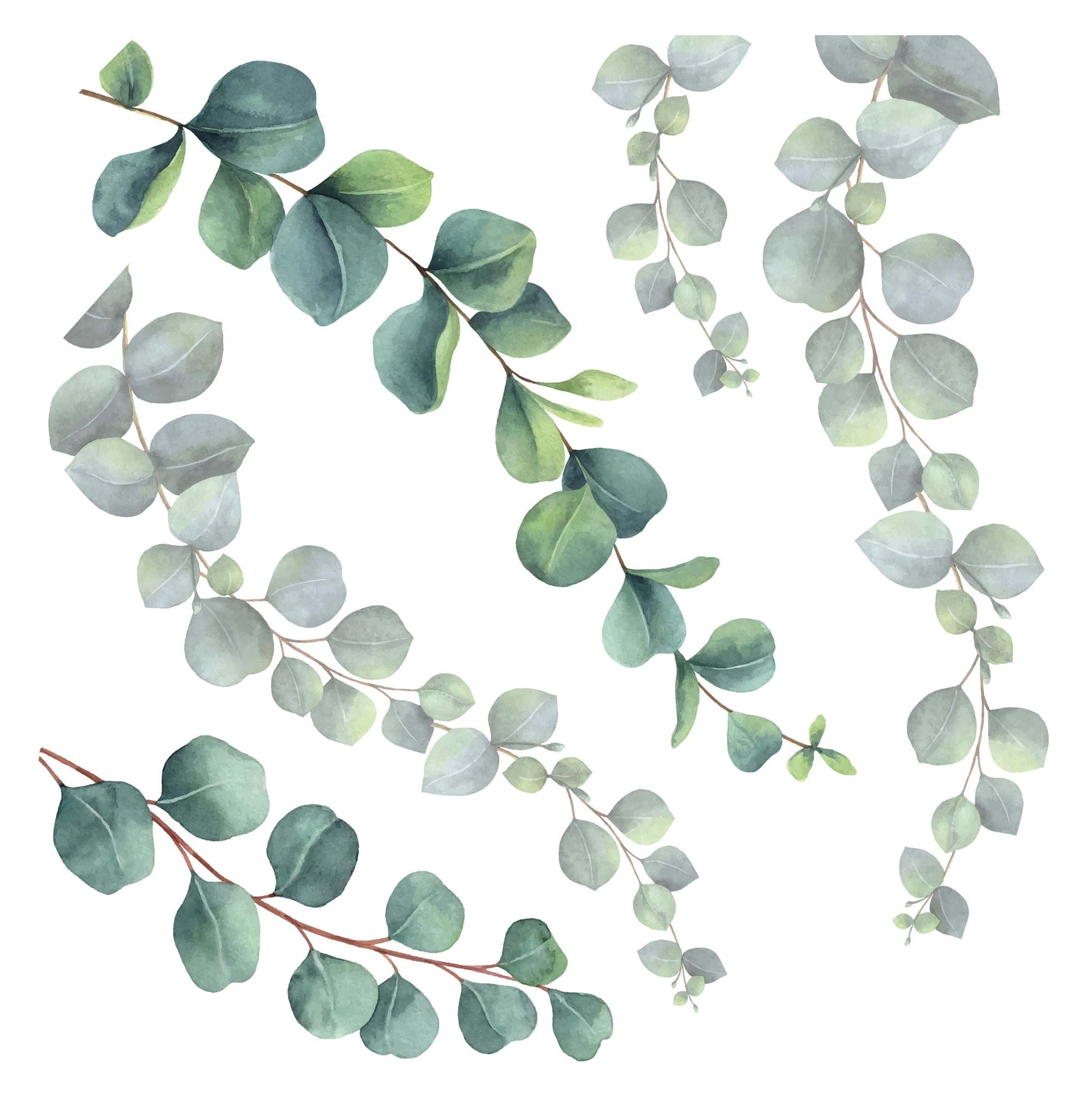 Bricocenter WALL STICKER EUCALYPTUS 31.5X34 CM