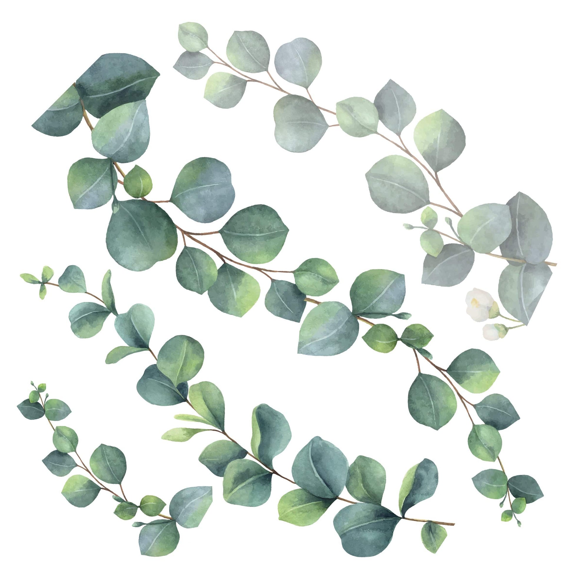 Bricocenter WALL STICKER EUCALYPTUS 31.5X34 CM