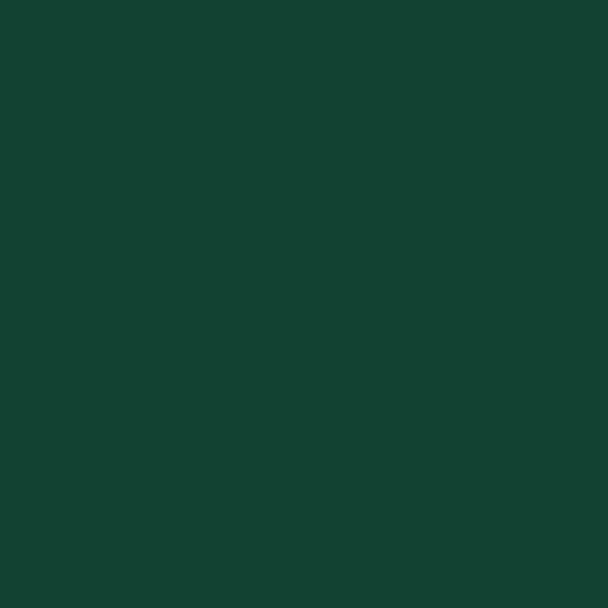 Bricocenter GREEN SATIN MULTI-SURFACE ENAMEL 2L LUXENS