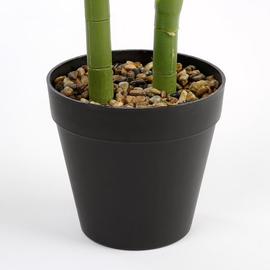 HALOCASIA IN PLASTIC POT 100 CM DIAM 50 CM