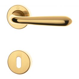 DOOR HANDLE WITH ROSETTE AND GMO5 POLISHED GOLD GMO IN ZAMAK
