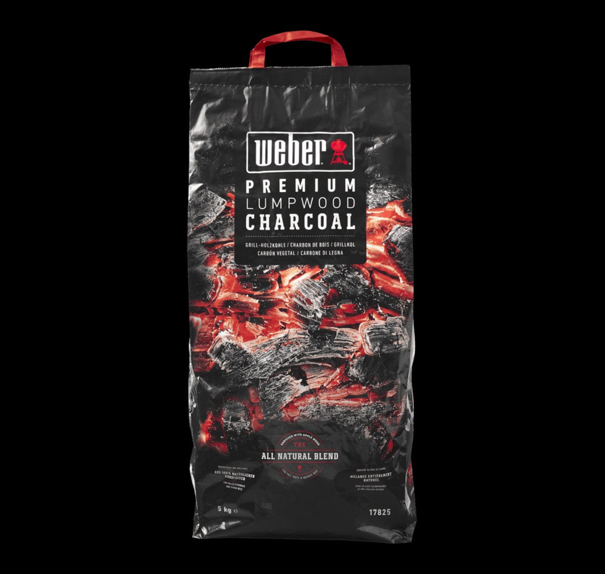 Bricocenter CARBONE WEBER 5 KG