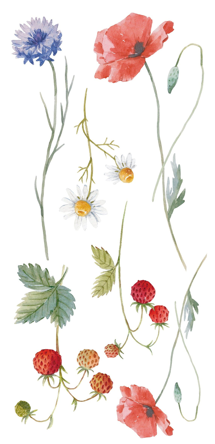 Bricocenter FIELD FLOWERS STICKER 15.5X34