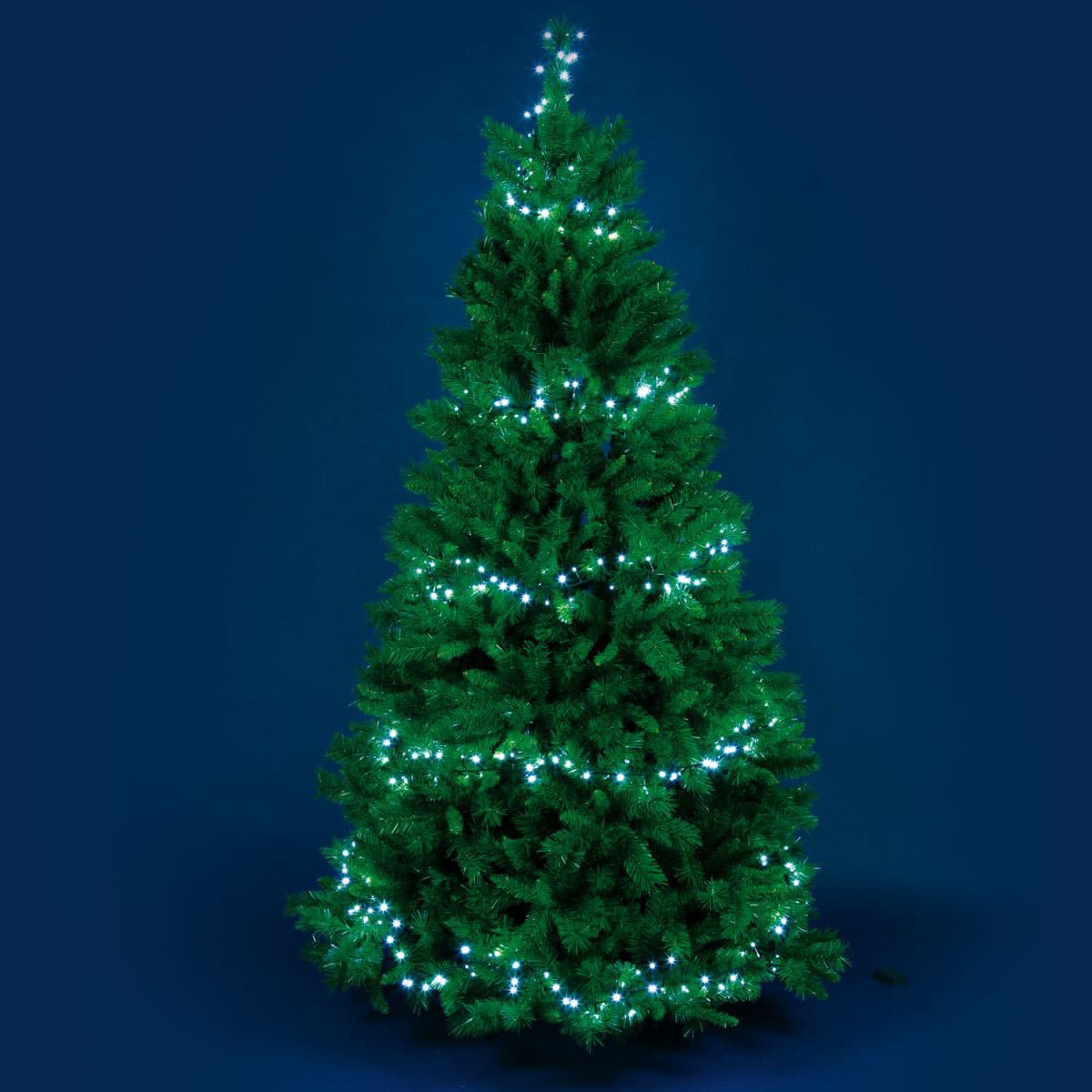 Bricocenter 2000 LED BRIGHT CHAIN 2000 LED COLD LIGHT 40.5 mt