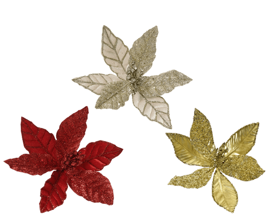 Poinsettia with velvet-effect clip and small berries, d. 24 x h. 17 cm, assorted