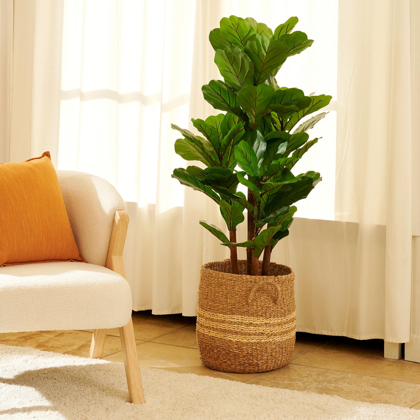 FIGI FIDDLE-LEAF FIG 120CM