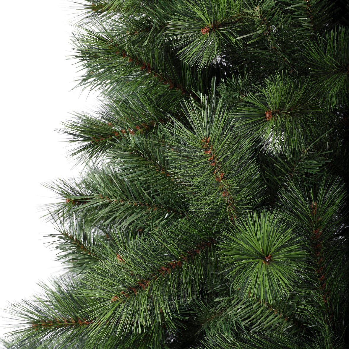 Bricocenter MONTE BONDONE TREE H240CM