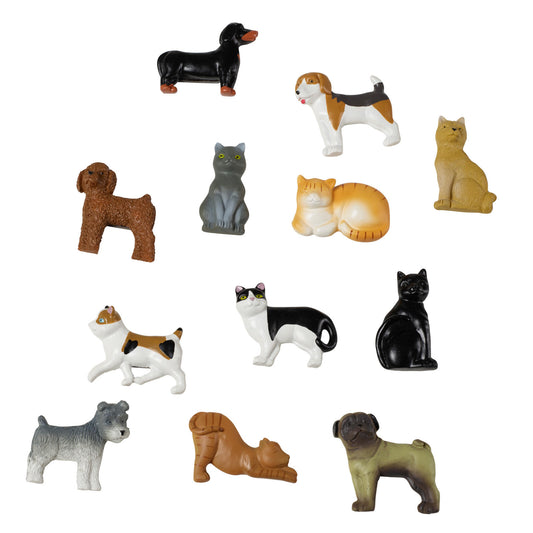 CAT&DOG Magnets set of 3 12 designs in various colours, H 1,5 x W 5 x D 3 cm