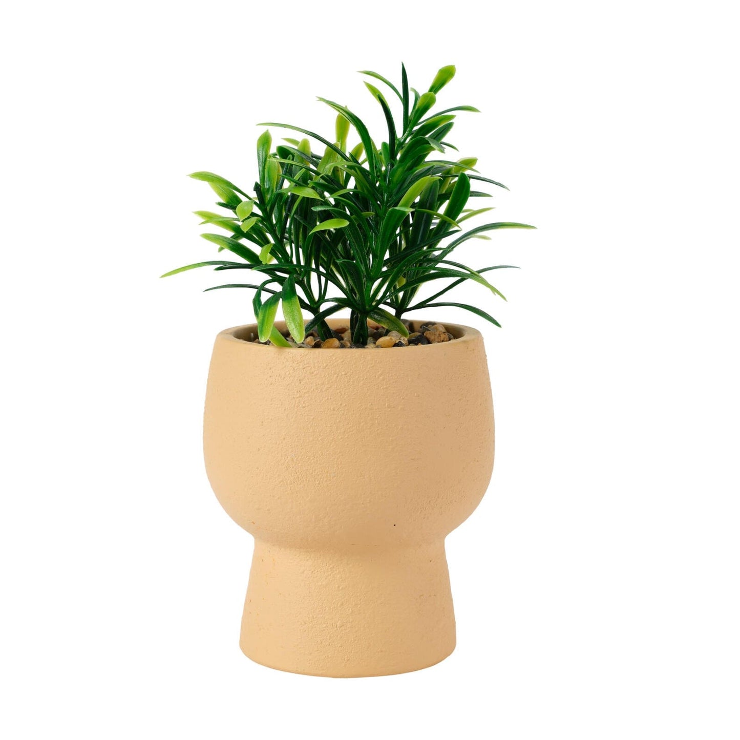 Casa KELK CEMENT POT WITH PLANT 2AS