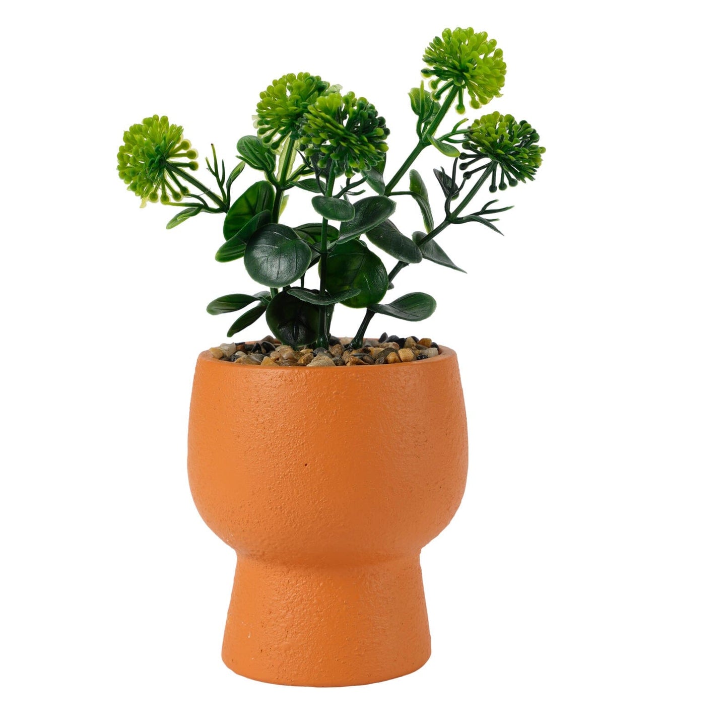 Casa KELK CEMENT POT WITH PLANT 2AS