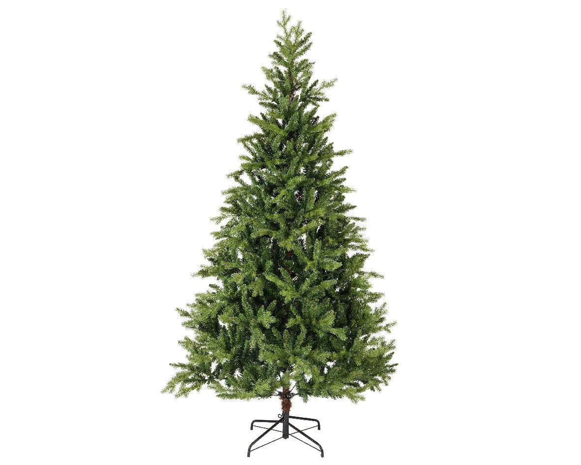 Bricocenter BEAUMONT TREE H240CM