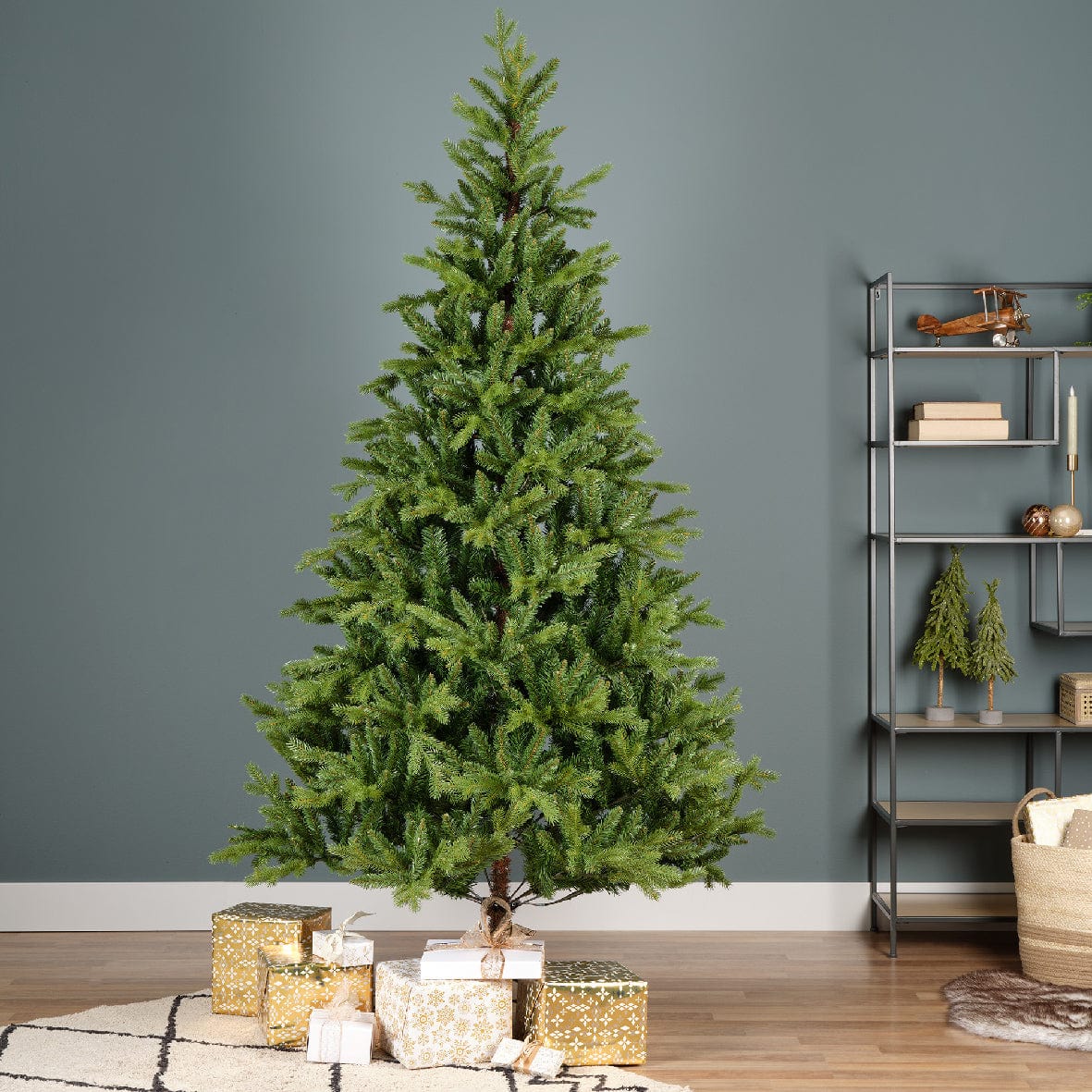 Bricocenter BEAUMONT TREE H240CM