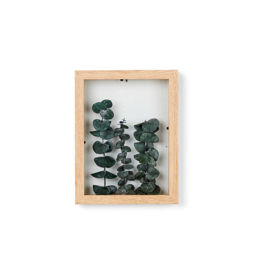 EUCALYPTUS Wall deco, H 22 x W 17 x D 2 cm