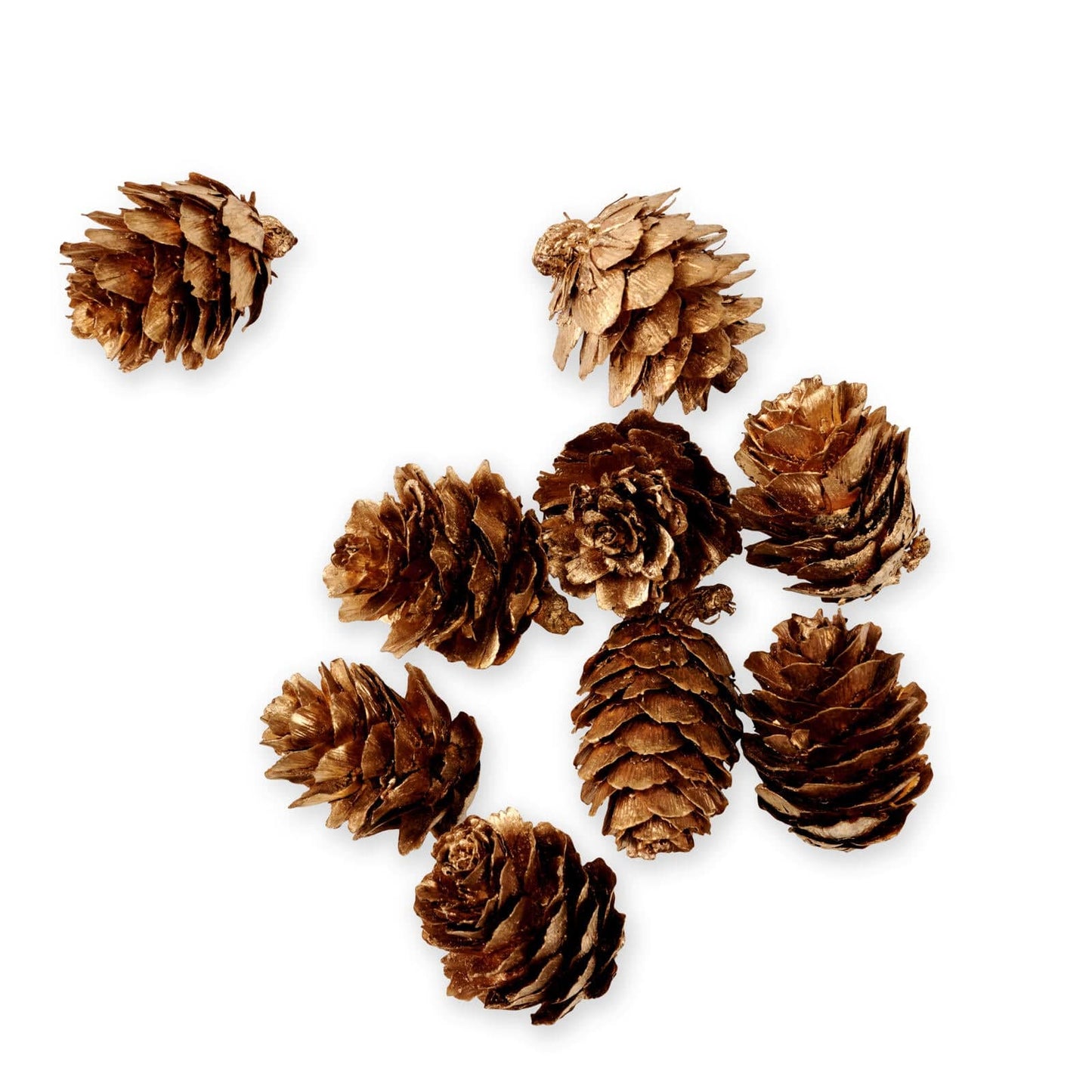 Casa PINECONE S/40 SCATTERDECO GOLD