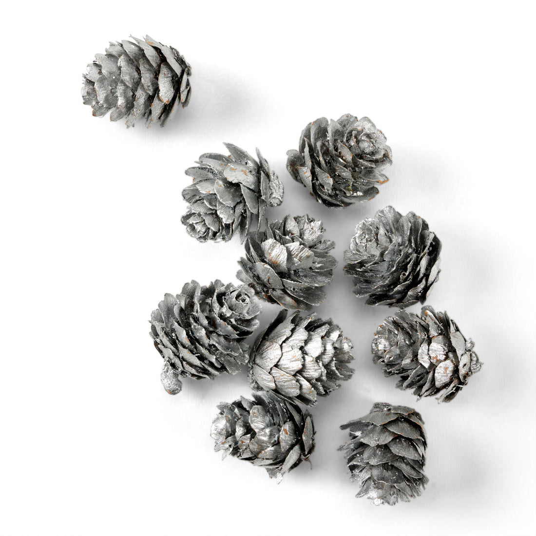 PINECONE S/40 SCATTERDECO SILV