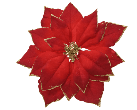 Poinsettia with glitter-effect clips around the edges, diameter 24 x height 7 cm