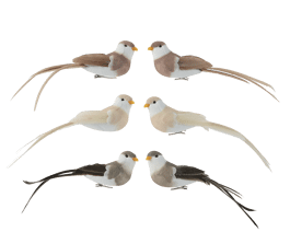 SET 2 BIRDS WITH CLIP 3 COLORS ASSORT