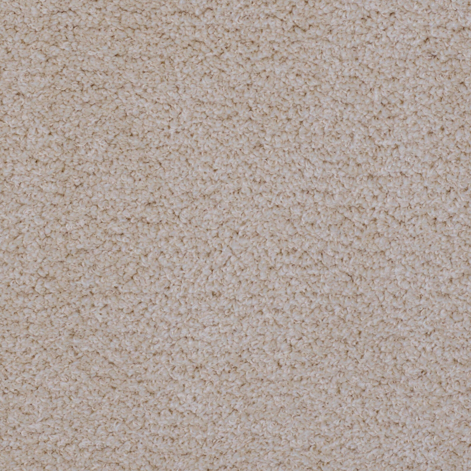 Casa ZIRRY CARPET 160X230 OFFWHITE